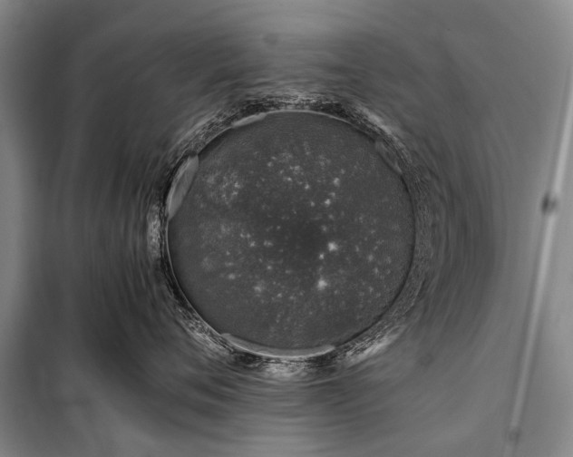 X0000100950720200807011309