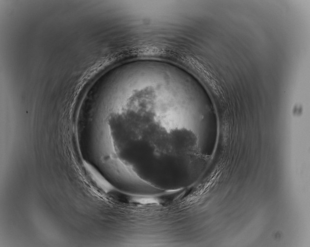 X0000100950721200807011308