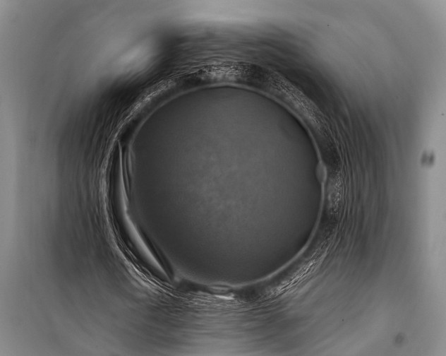 X0000100950722200807011308