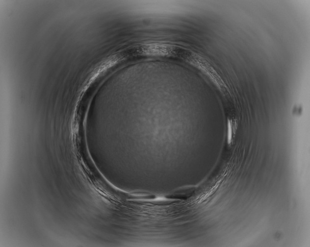 X0000100950723200807011308