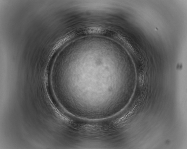 X0000100950725200807011308
