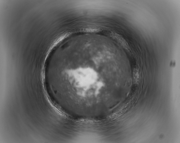 X0000100950726200807011308