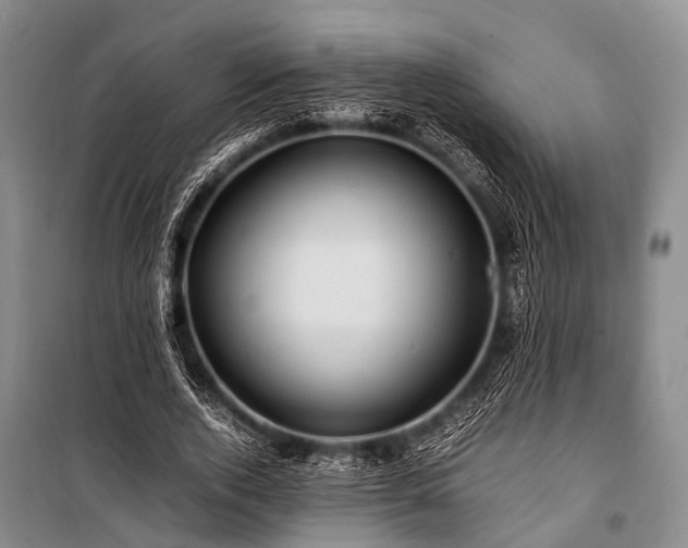 X0000100950728200807011308