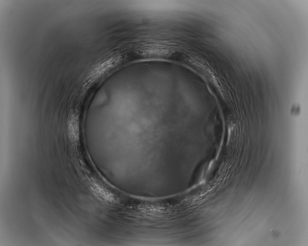 X0000100950729200807011308