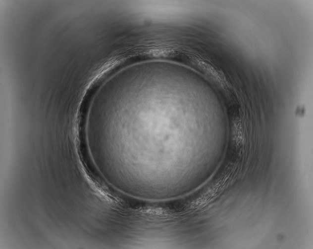 X0000100950730200807011308