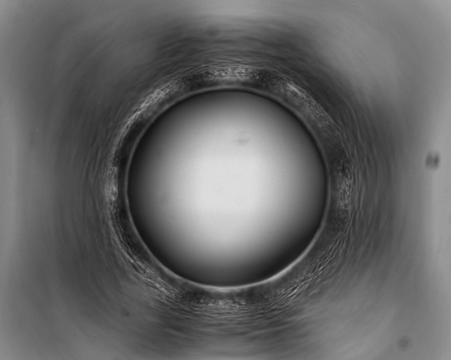 X0000100950731200807011308