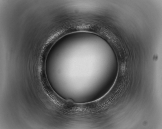 X0000100950732200807011308