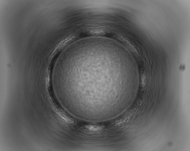 X0000100950733200807011308