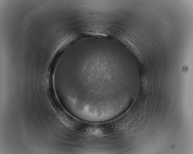 X0000100950735200807011308