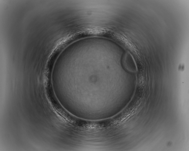 X0000100950736200807011308