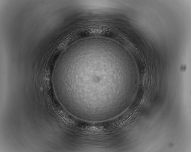 X0000100950737200807011308