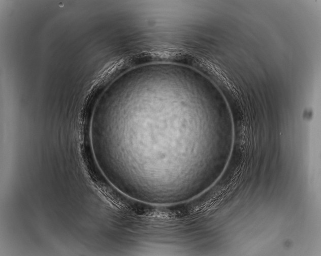 X0000100950738200807011308