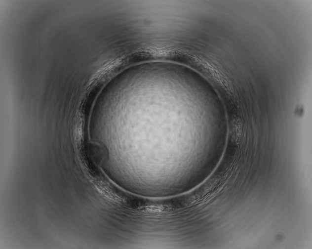 X0000100950740200807011308