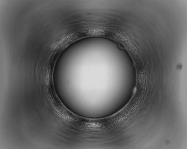 X0000100950741200807011308