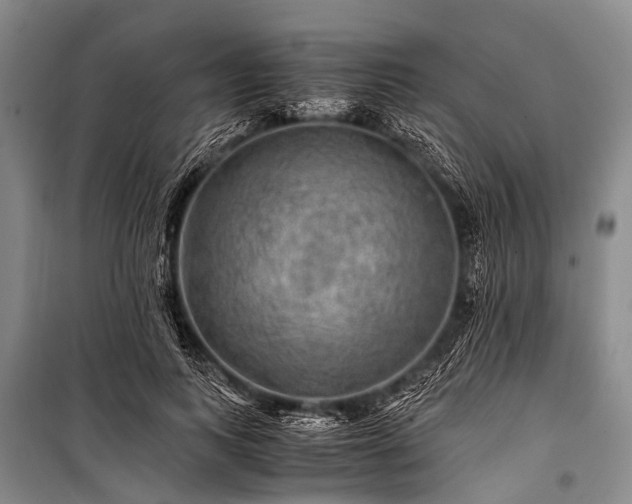 X0000100950743200807011308