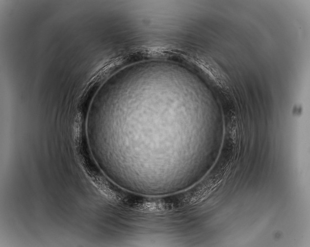 X0000100950744200807011308