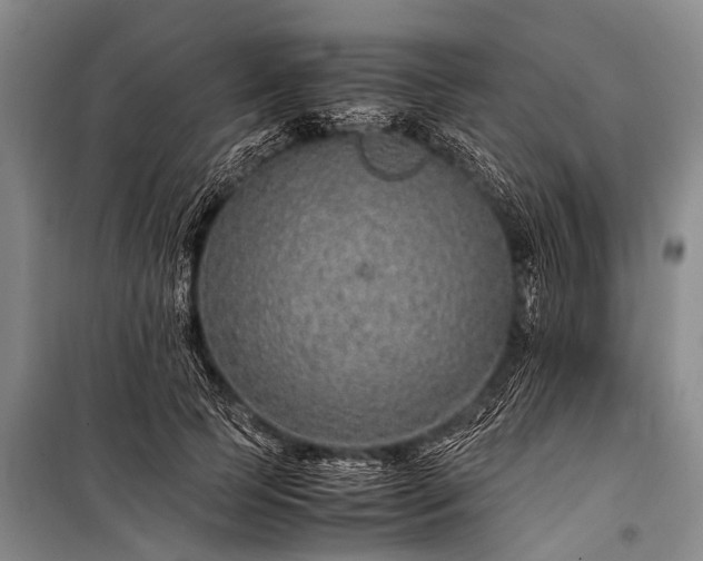 X0000100950745200807011308