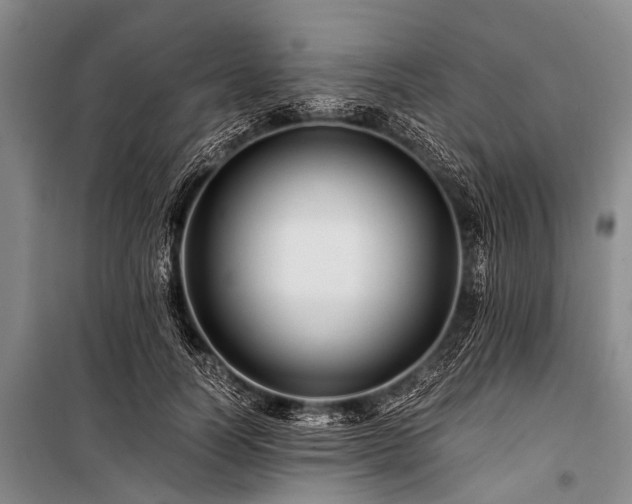 X0000100950746200807011308
