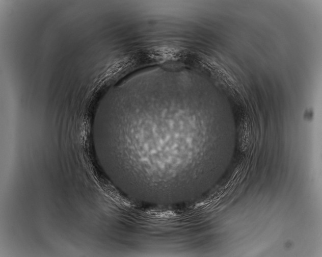 X0000100950747200807011308