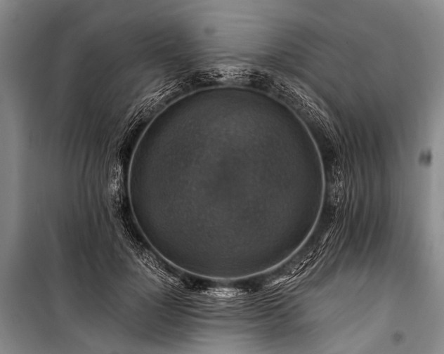 X0000100950748200807011308