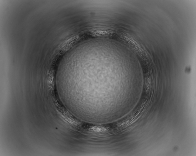 X0000100950749200807011308