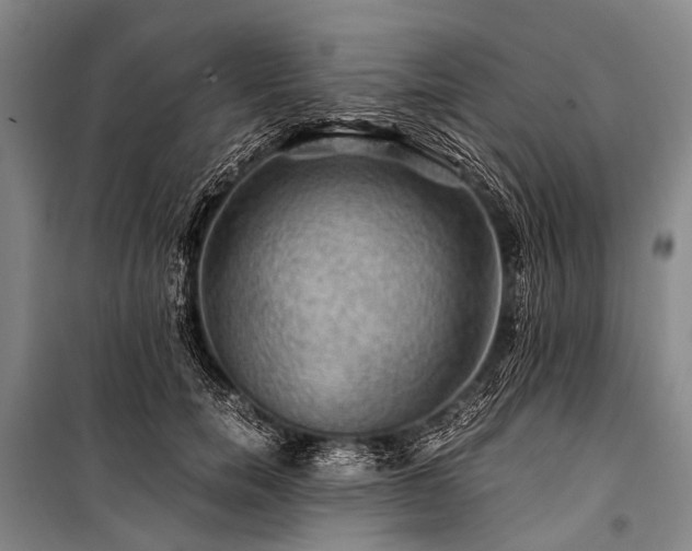 X0000100950750200807011308