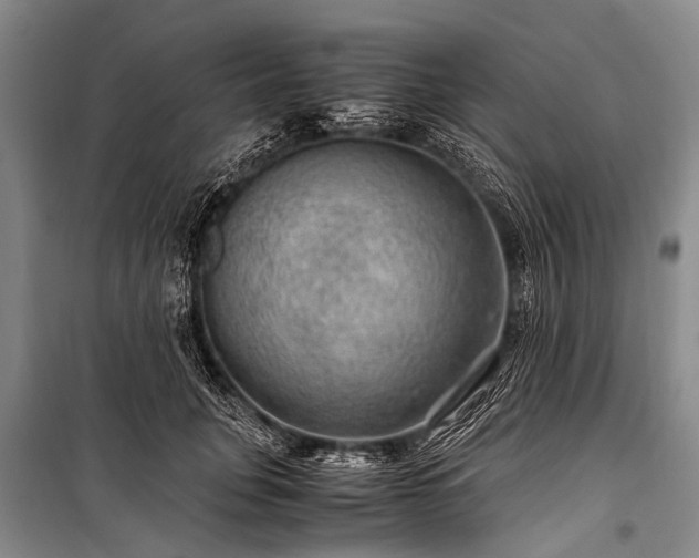 X0000100950751200807011308