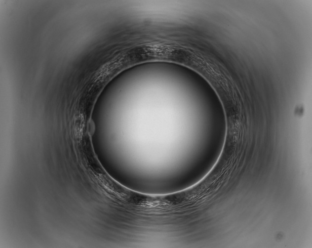X0000100950752200807011308