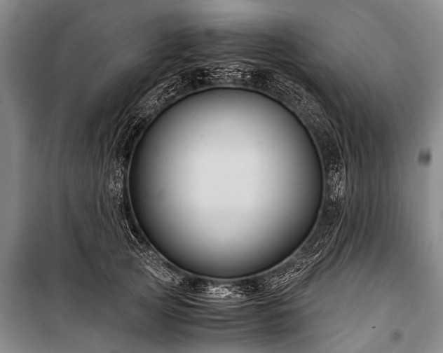 X0000100950753200807011308