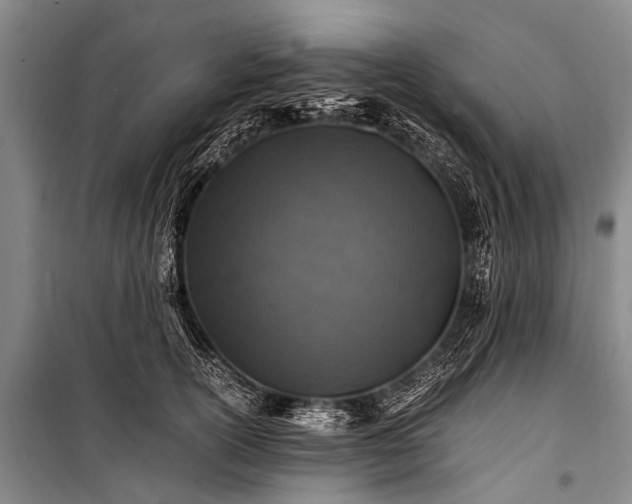 X0000100950754200807011308