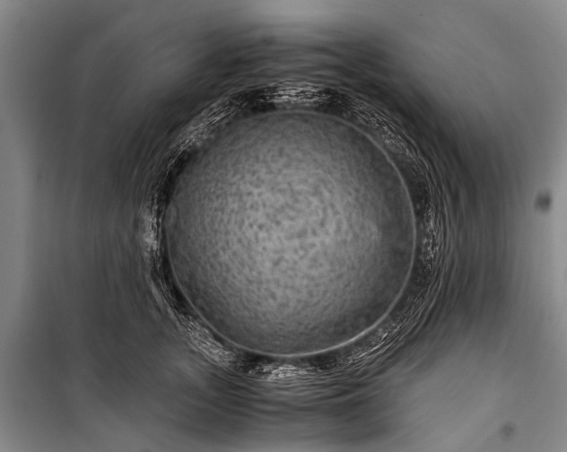 X0000100950755200807011308