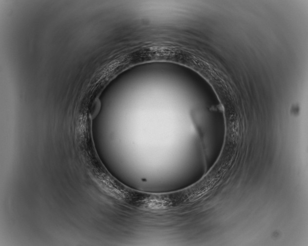 X0000100950756200807011308