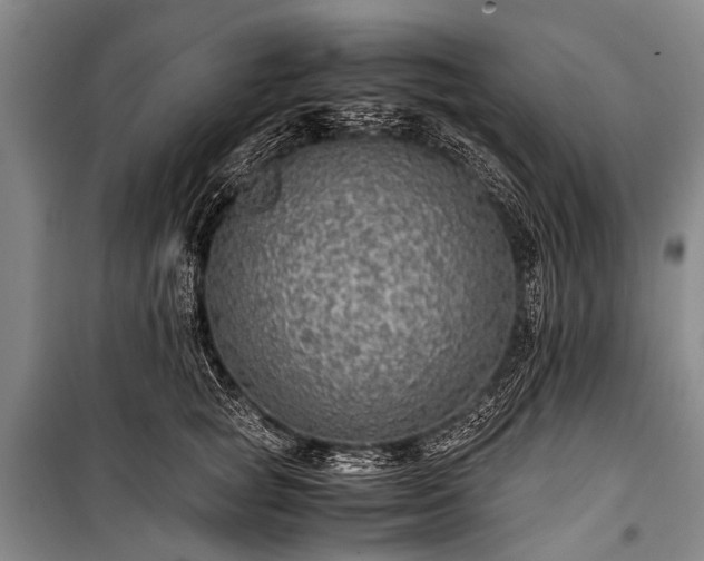 X0000100950757200807011308