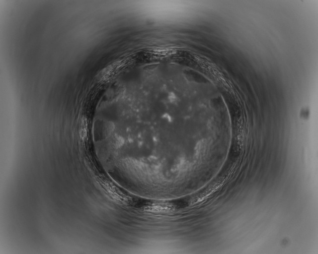 X0000100950758200807011308