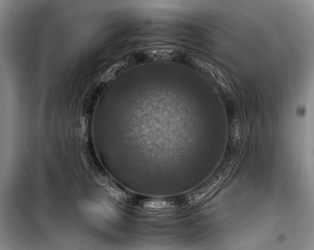 X0000100950759200807011308