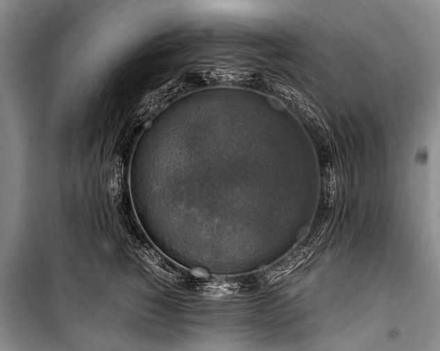 X0000100950760200807011308
