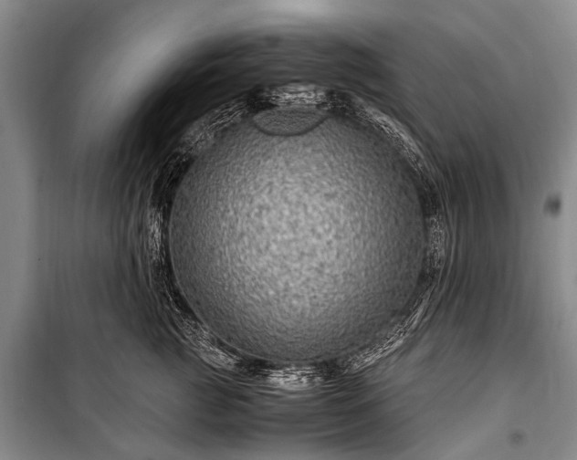X0000100950761200807011308