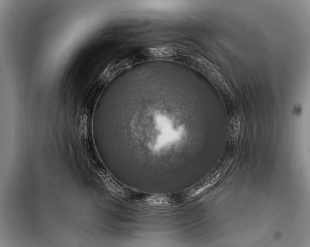 X0000100950762200807011308
