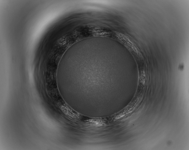 X0000100950763200807011308