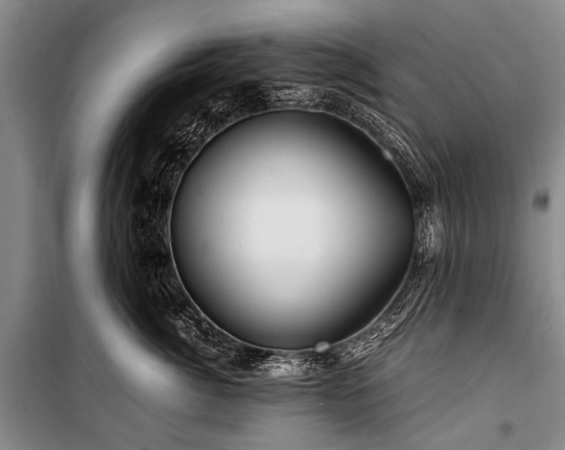 X0000100950764200807011309