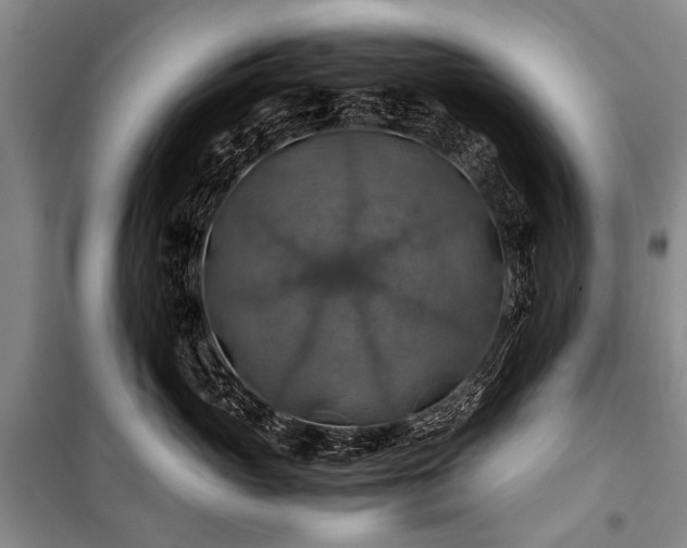 X0000100950765200807011309