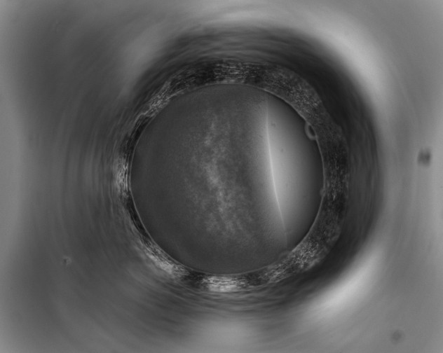X0000100950766200807011309