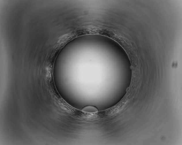 X0000100950768200807011309