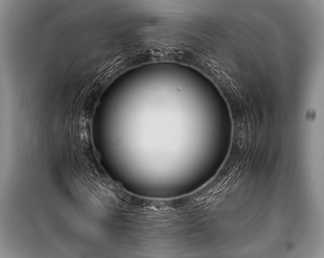 X0000100950770200807011308