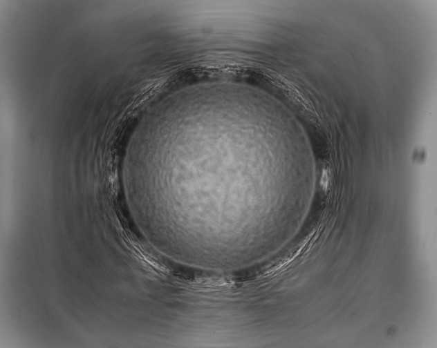 X0000100950771200807011308