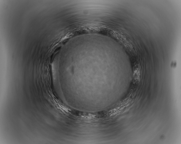 X0000100950772200807011308