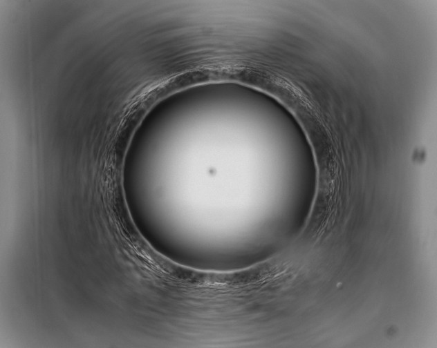 X0000100950773200807011308