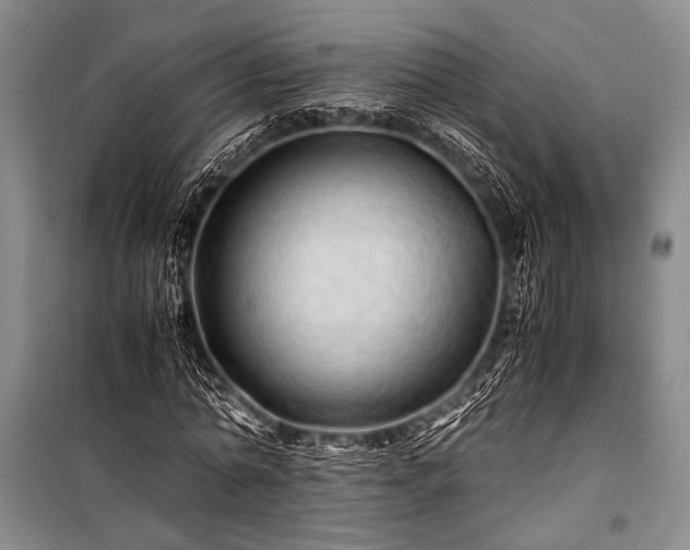 X0000100950774200807011308