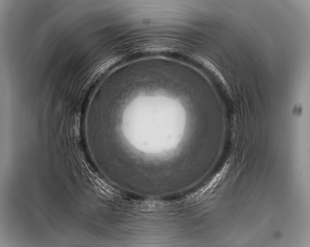 X0000100950777200807011308