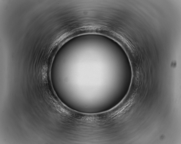 X0000100950778200807011308